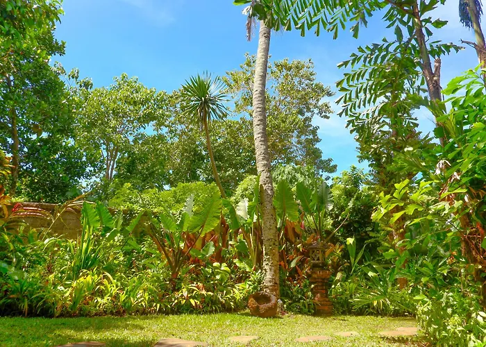 Garden View 3*