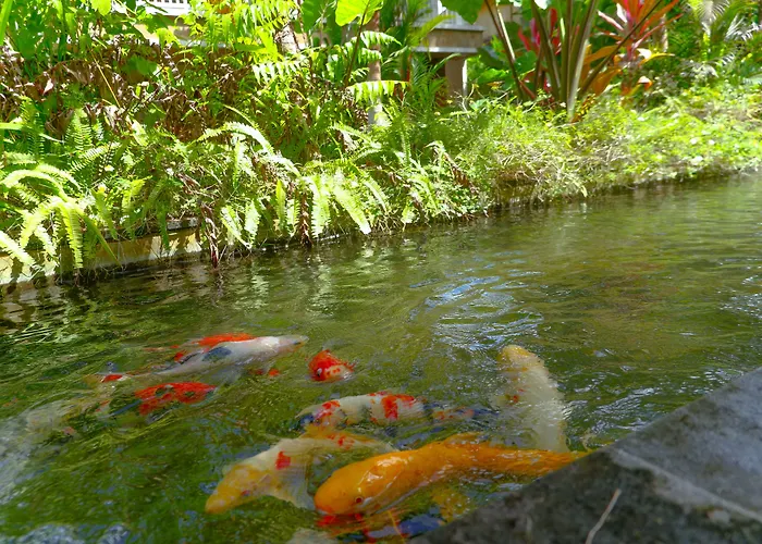 Garden View 3* Ubud