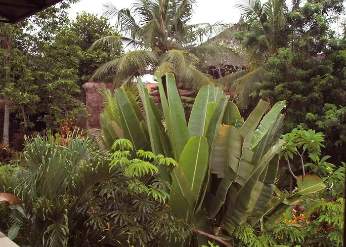 Garden View Hotel Ubud (Bali)