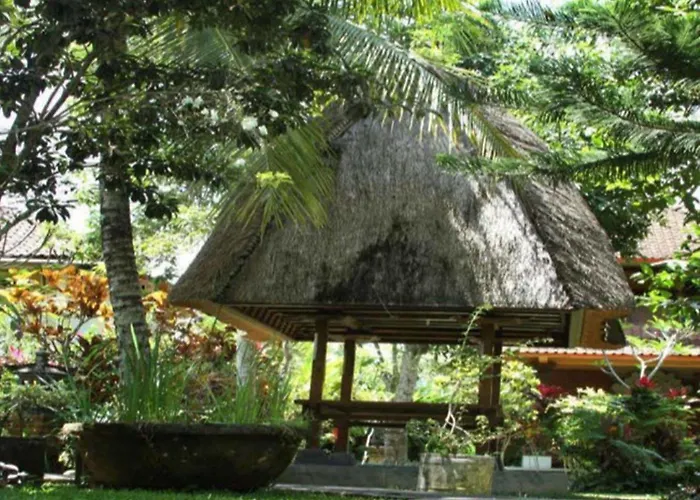 Garden View Hotel 3*